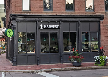 Moncton vegetarian restaurant Harvest Clean Eats