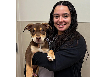 Niagara Falls veterinary clinic Heartland Niagara Animal Hospital