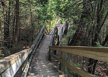Whitby hiking trail Heber Down Conservation Area