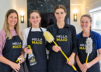 Hellamaid inc Hellamaid inc - Kitchener, ON Services de ménage - Team Working Image