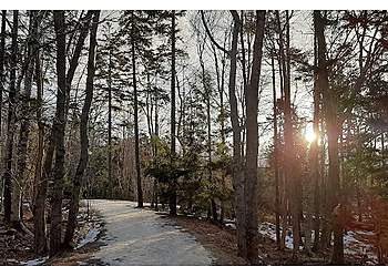 Halifax public park Hemlock Ravine Park
