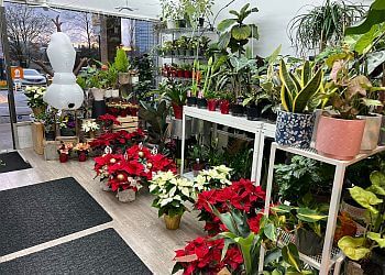 3 Best Florists In Burnaby, BC - Expert Recommendations