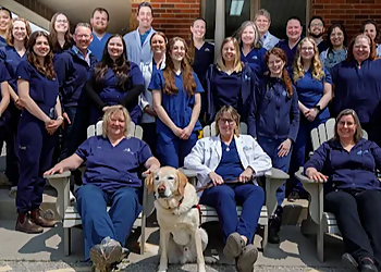 Highway 24 Veterinary Clinic - Guelph, ON Cliniques Vétérinaires - Medical Procedure Image