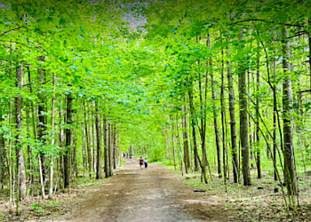 Milton hiking trail Hilton Falls Conservation Area