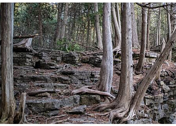 Milton hiking trail Hilton Falls Conservation Area