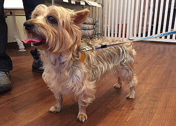 Winnipeg Salons de Toilettage Pour Animaux De Compagnie Hip Pooch