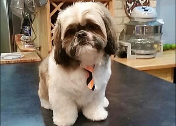 Winnipeg Salons de Toilettage Pour Animaux De Compagnie Hip Pooch