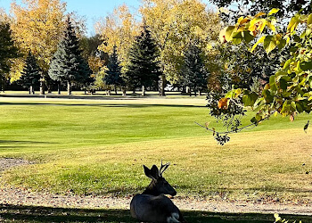 Saskatoon Golf Courses Holiday Park Golf Course