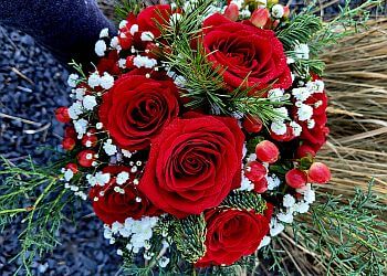 Airdrie Fleuristes Holland House Flowers