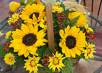 Holland Nurseries Florist & Flower Delivery Holland Nurseries Florist & Flower Delivery - St Johns, NL Florists - Sample Image