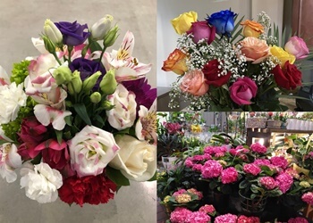 Dollard des Ormeaux florist Hollandia Florists