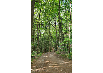 Hollidge Tract