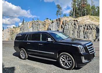 Winnipeg limo service Hollywood Limousine Service