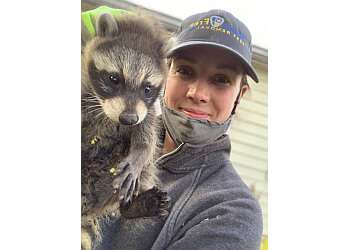 Burlington animal removal Home Free Wildlife and Pest Removal Inc.