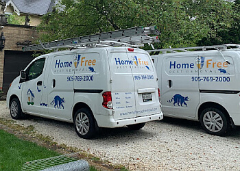 Burlington animal removal Home Free Wildlife and Pest Removal Inc. image 1