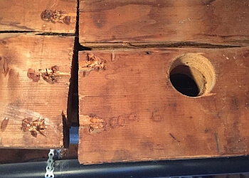 St Catharines Inspecteurs En Bâtiment Home Suite Home Inspections