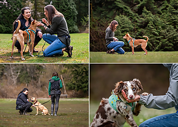 Vancouver Dresseurs De Chiens Honourable Hound
