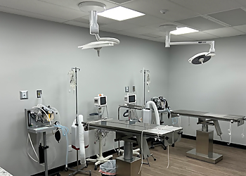 Horizon Veterinary Services - Medicine Hat, AB Veterinary Clinics - Clinic Interior Image