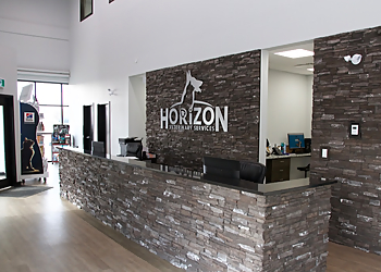 Horizon Veterinary Services - Medicine Hat, AB Veterinary Clinics - Medical Procedure Image