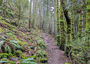 Saanich hiking trail Horth Hill Regional Park