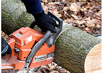 Grande Prairie tree service Houle's Tree Service
