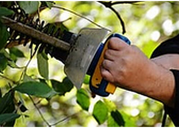 Grande Prairie tree service Houle's Tree Service