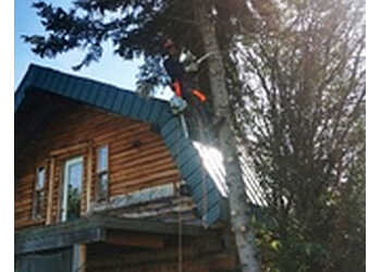 Grande Prairie tree service Houle's Tree Service image 1