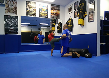 House of Champions Kickboxing and Fitness - Hamilton, ON Arts Martiaux - Training Floor Image