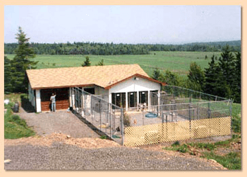 Moncton dog trainer Houssen's Dog Training Center