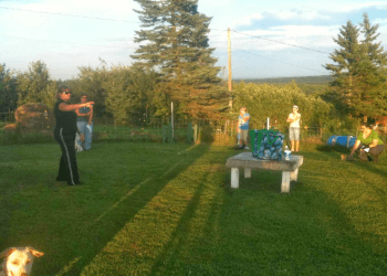 Moncton dog trainer Houssen's Dog Training Center