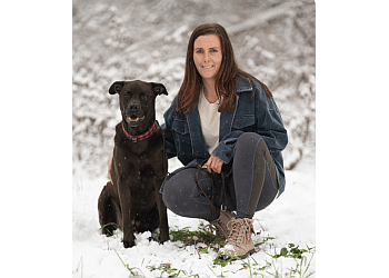 Halton Hills dog trainer Hub K9 image 1