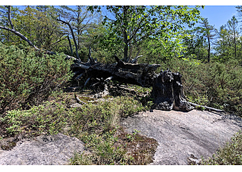 Huntsville hiking trail Huckleberry Rock Lookout Trail