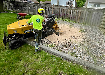 Hudson Tree Services Burlington - Burlington, ON Services d'arboriculteur - Outdoor Work Image