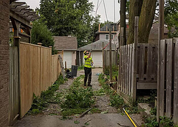 Burlington Services d'arboriculteur Hudson Tree Services Burlington