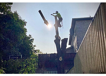 Burlington Services d'arboriculteur Hudson Tree Services Burlington