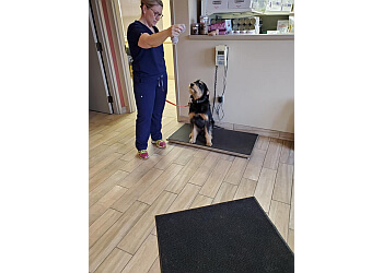 Huntsville veterinary clinic Huntsville Animal Hospital