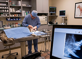 Huronia Veterinary Emergency Clinic - Barrie, ON Cliniques Vétérinaires - Doctor With Patient Image