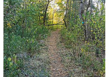 Fredericton Sentiers De Randonnée Hyla Park Nature Preserve