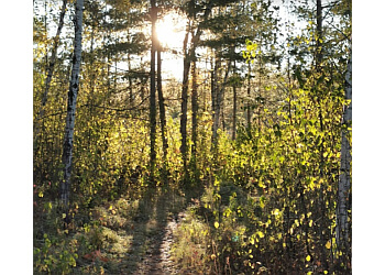 Fredericton Sentiers De Randonnée Hyla Park Nature Preserve