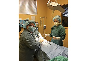 Blainville veterinary clinic Hôpital Vétérinaire Blainville