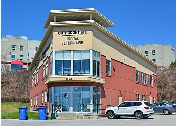 Terrebonne veterinary clinic HÔPITAL VÉTÉRINAIRE DE LA SEIGNEURIE DE TERREBONNE INC. image 1