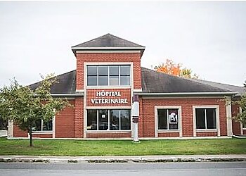 Sherbrooke veterinary clinic HÔPITAL VÉTÉRINAIRE DE L'ESTRIE image 1