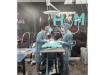 Saint Hyacinthe veterinary clinic Hôpital Vétérinaire Des Maskoutains