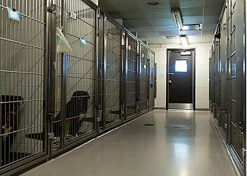 Saguenay veterinary clinic Hôpital Vétérinaire Du Boisé