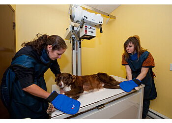 Granby veterinary clinic Hôpital Vétérinaire Dufferin