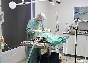 Drummondville veterinary clinic Hôpital Vétérinaire Lindsay