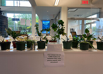 Longueuil veterinary clinic Hôpital Vétérinaire Pierre-Boucher Inc.