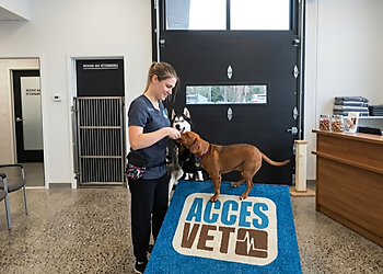 Hôpital Vétérinaire Accès Vet Blainville - Blainville, QC Veterinary Clinics - Doctor With Patient Image
