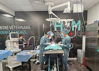 Hôpital Vétérinaire Des Maskoutains - Saint Hyacinthe, QC Veterinary Clinics - Doctor With Patient Image