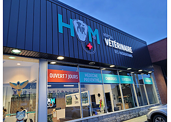 Saint Hyacinthe veterinary clinic Hôpital Vétérinaire Des Maskoutains